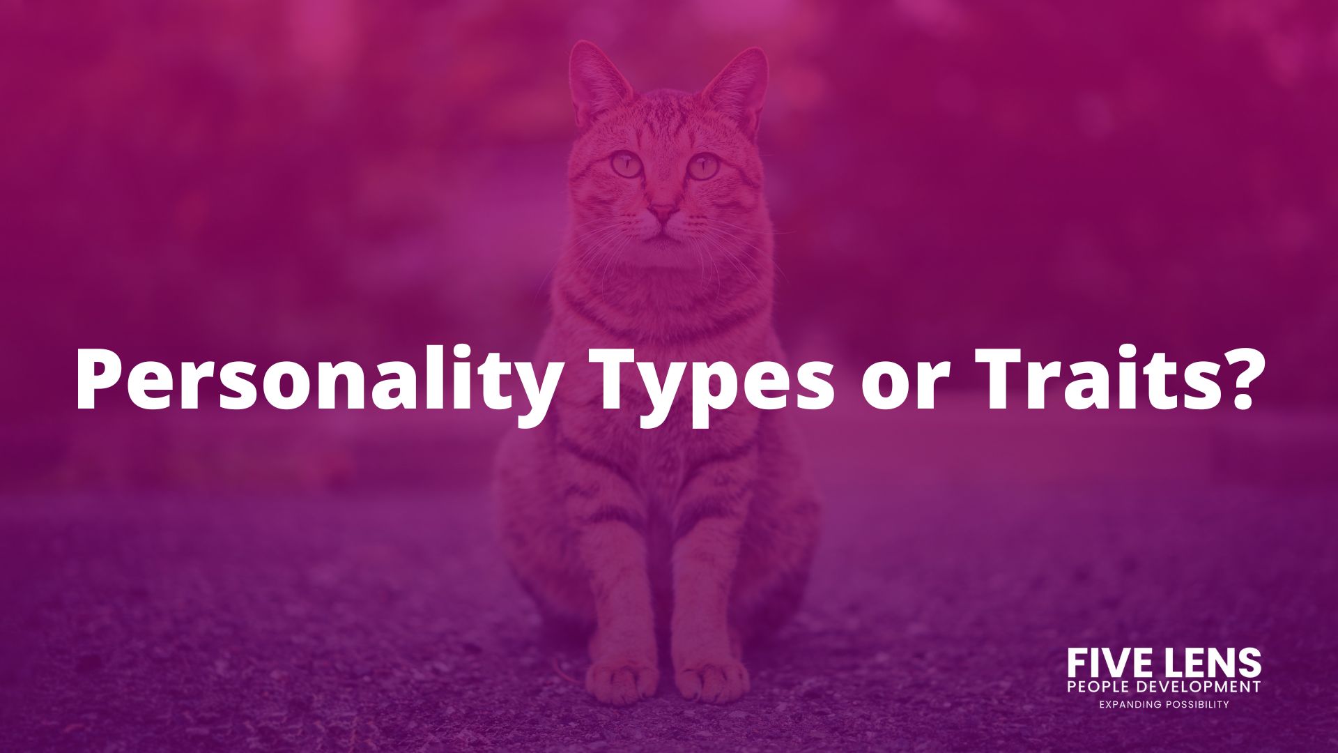 Personality Types or traits