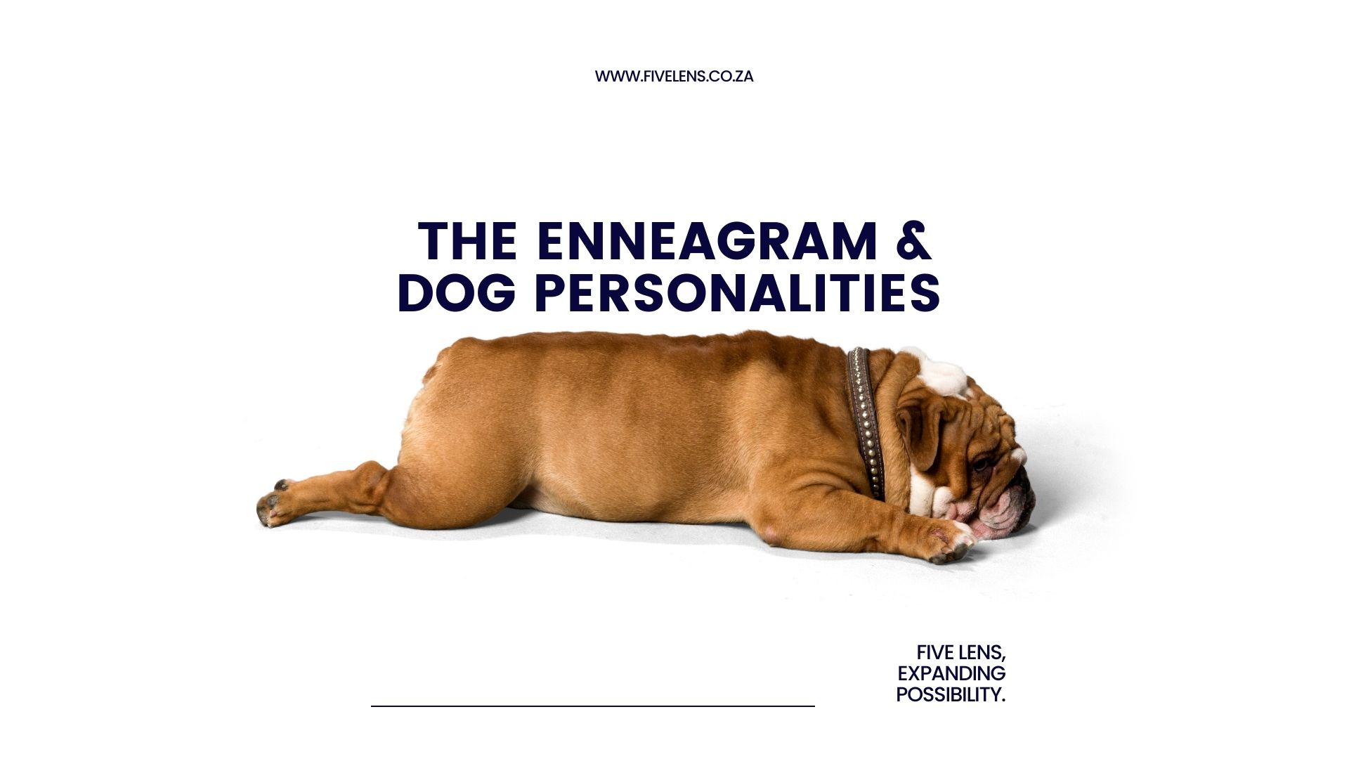 ENNEAGRAM DOG PERSONALITIES